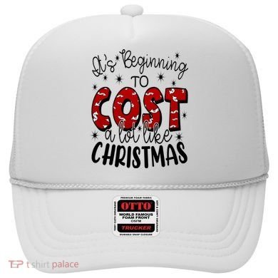 Its Beginning To Cost A Lot Like Christmas Funny Hat