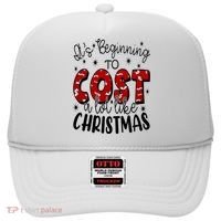 Its Beginning To Cost A Lot Like Christmas Funny Hat thumb 0