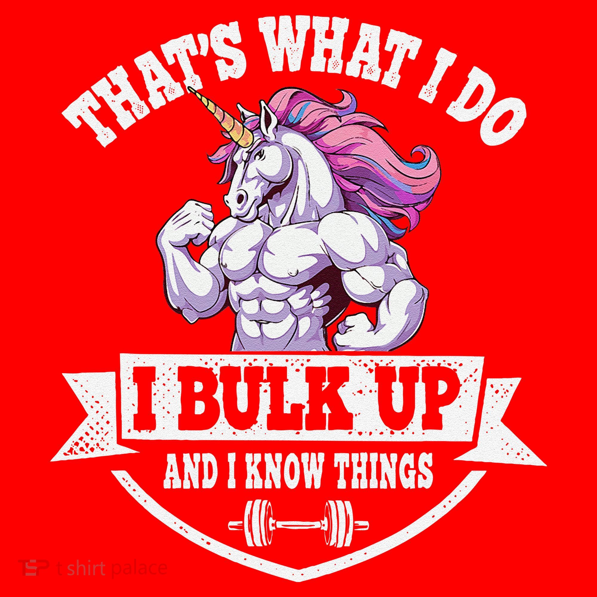 I Bulk Up Funny Unicorn Workout Training Santa Hat