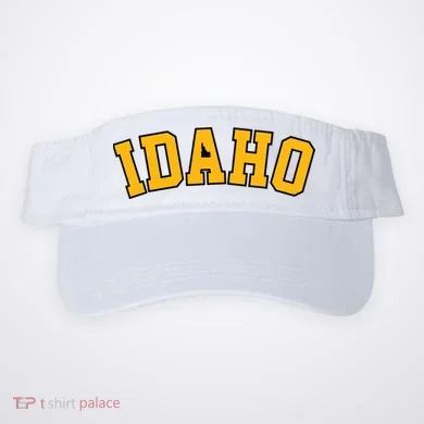 Visor