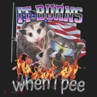 It Burns When I Pee Possum Raccoon Funny Women's Sweatshirt thumb 2