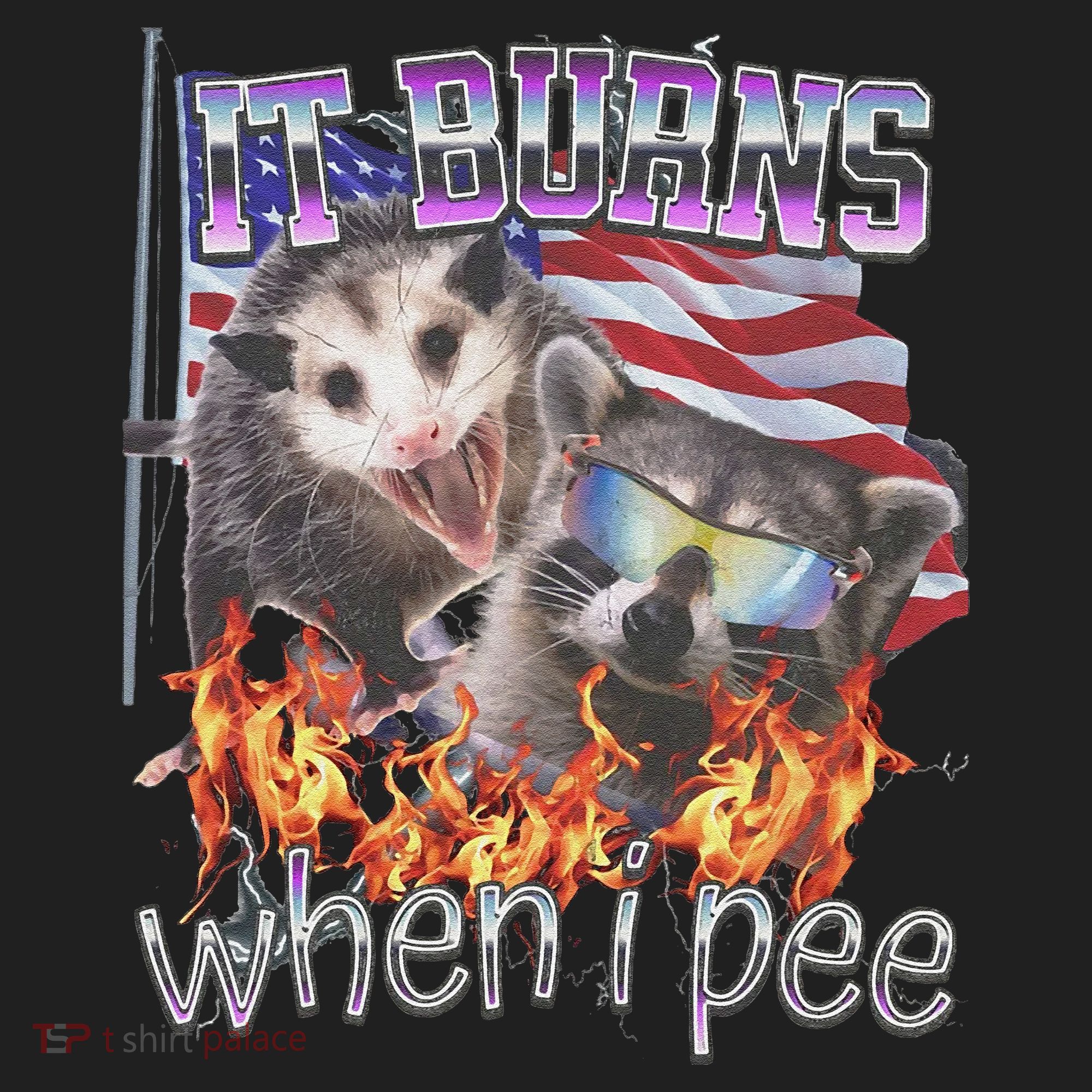 It Burns When I Pee Possum Raccoon Funny Women's Sweatshirt