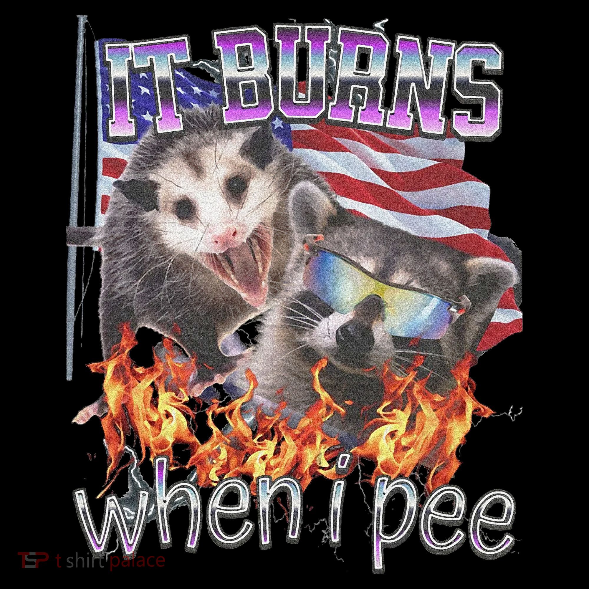 It Burns When I Pee Possum Raccoon Funny Coaster