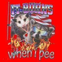 It Burns When I Pee Possum Raccoon Funny Santa Hat thumb 1