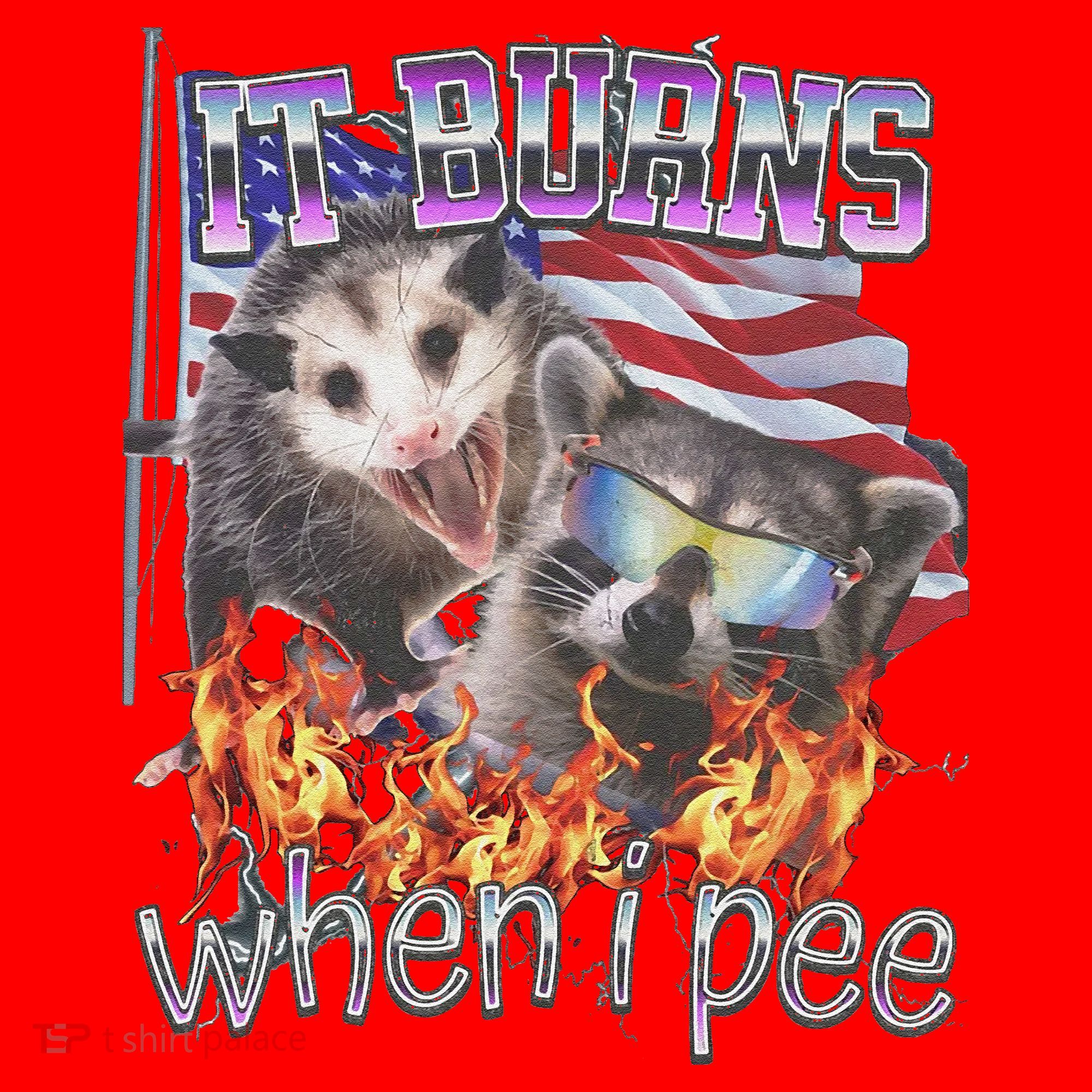 It Burns When I Pee Possum Raccoon Funny Santa Hat