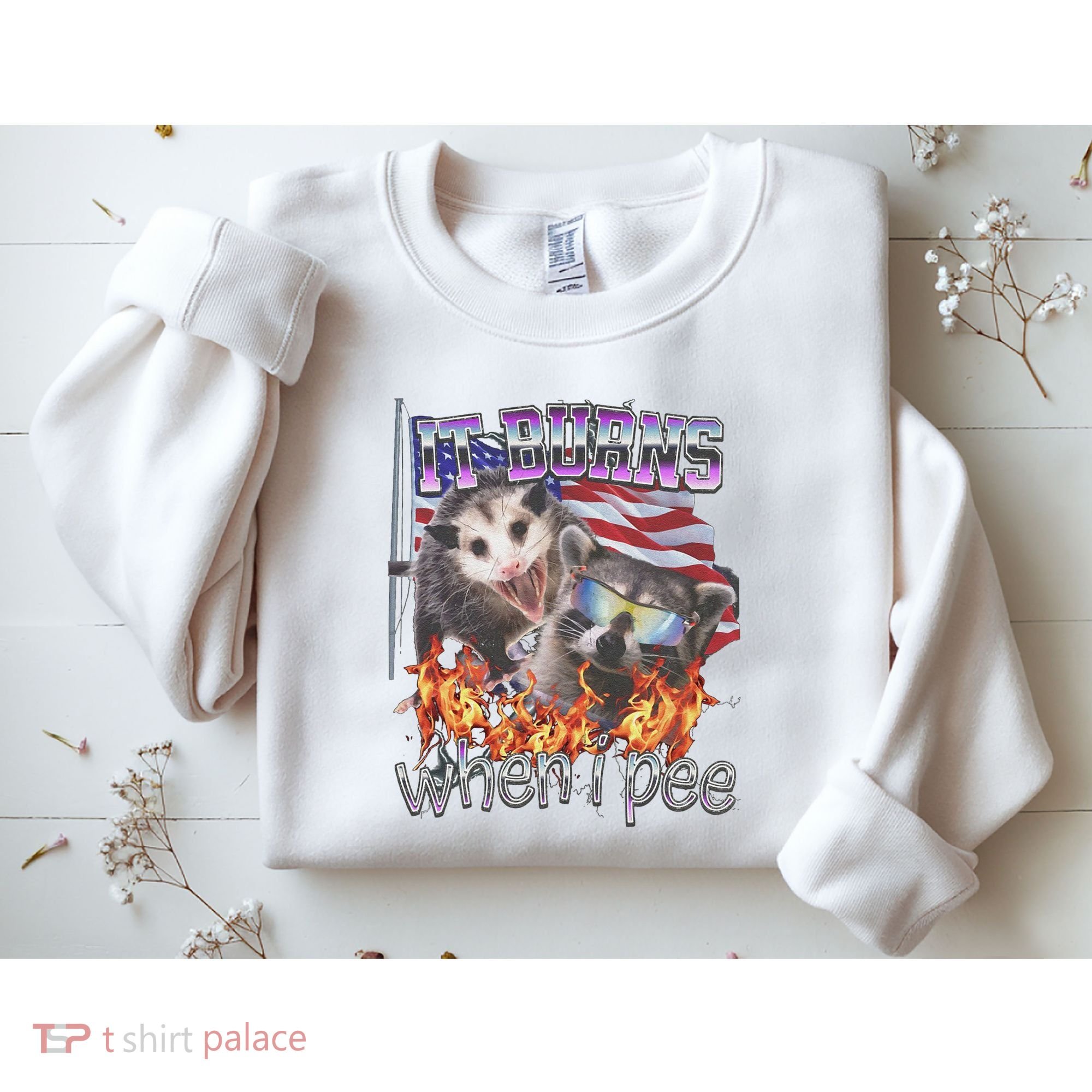 It Burns When I Pee Possum Raccoon Funny Sweatshirt