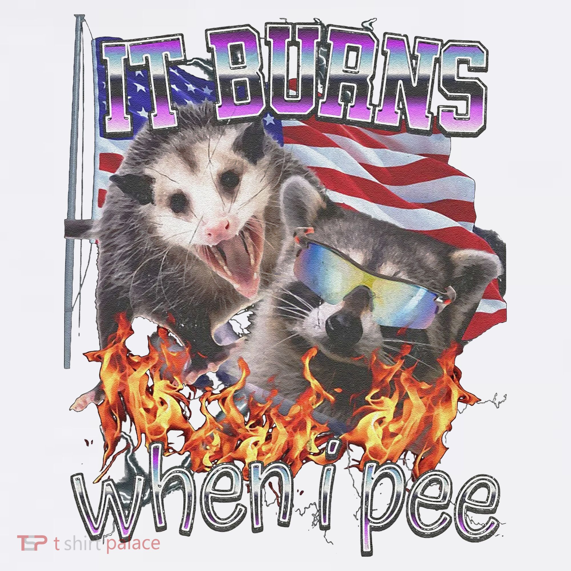 It Burns When I Pee Possum Raccoon Funny Hat