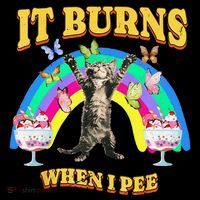 It Burns When I Pee Funny Cat Meme Rainbow Saying Sarcastic Women's Hoodie thumb 2