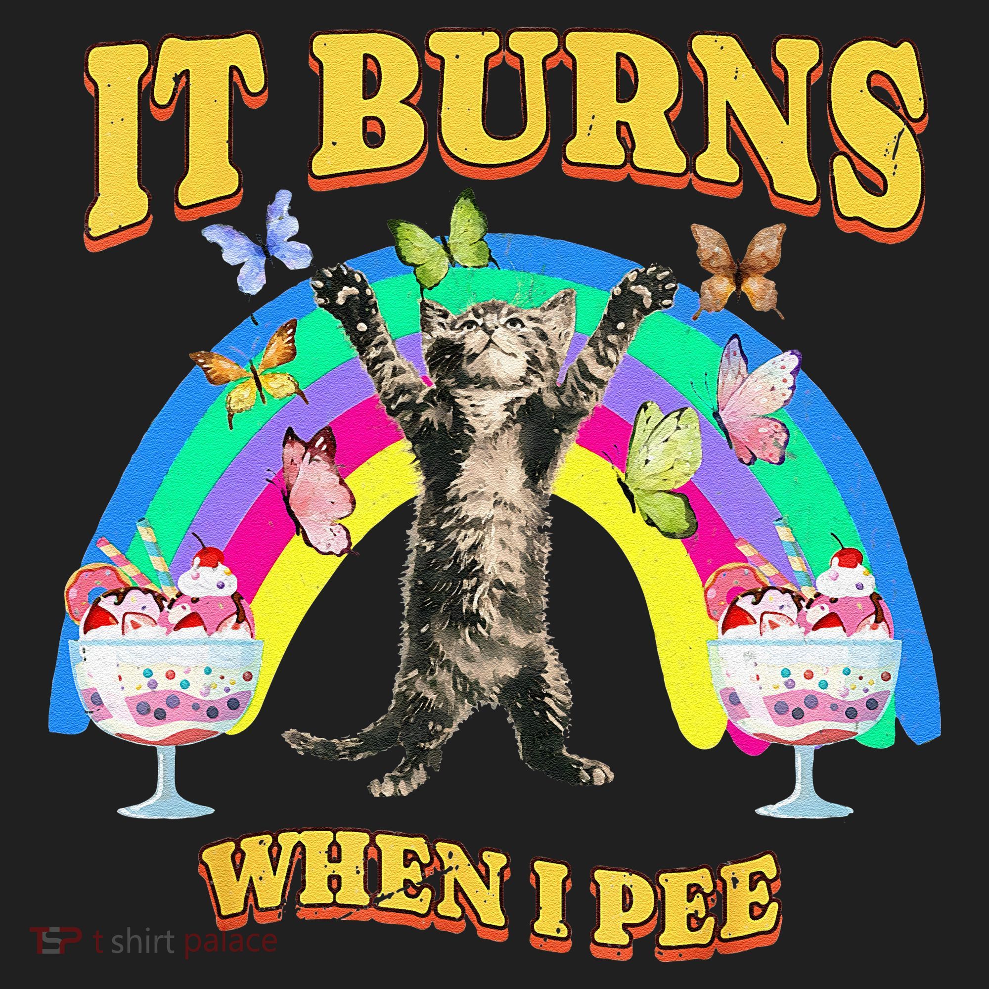 It Burns When I Pee Funny Cat Meme Rainbow Saying Sarcastic Tumbler
