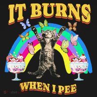 It Burns When I Pee Funny Cat Meme Rainbow Saying Sarcastic Women's Tank Top thumb 5