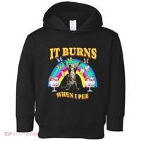 It Burns When I Pee Funny Cat Meme Rainbow Saying Sarcastic Toddler Hoodie thumb 0