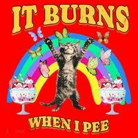 It Burns When I Pee Funny Cat Meme Rainbow Saying Sarcastic Santa Hat thumb 1