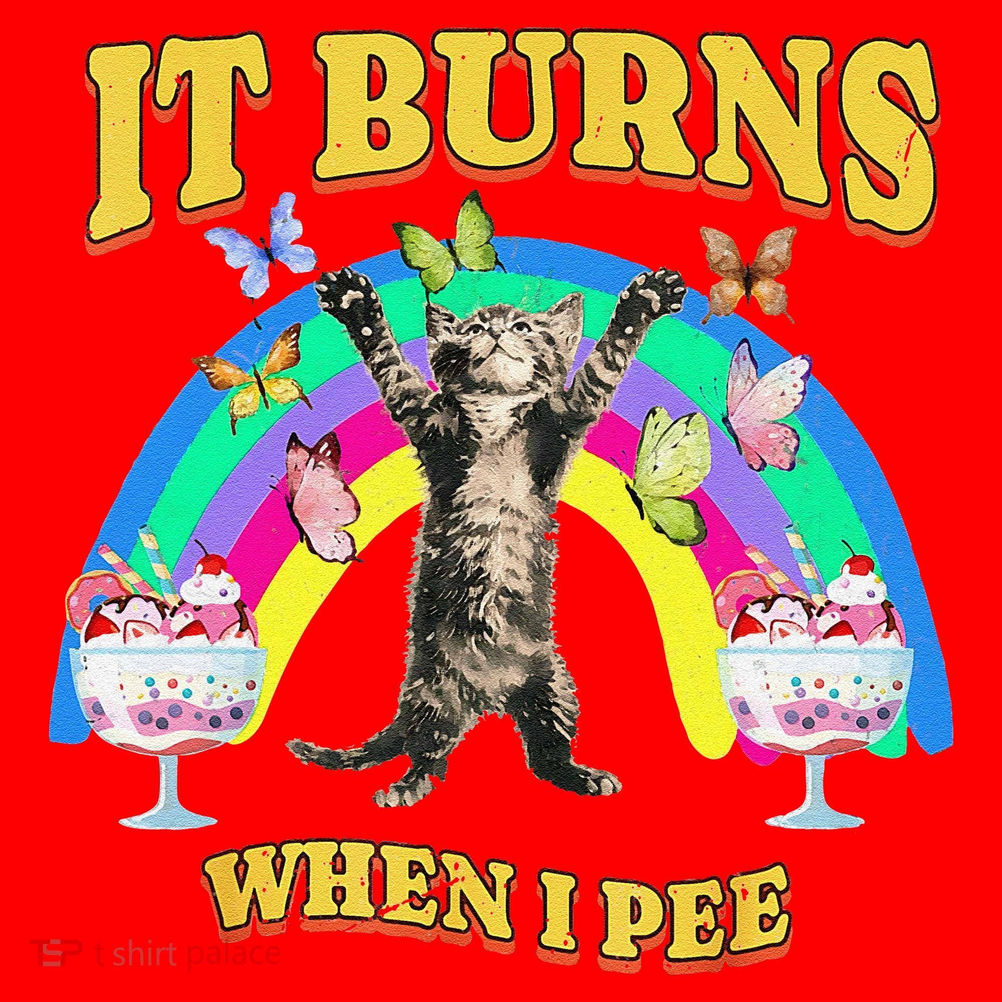It Burns When I Pee Funny Cat Meme Rainbow Saying Sarcastic Santa Hat