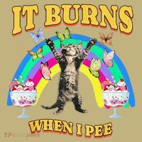 It Burns When I Pee Funny Cat Meme Rainbow Saying Sarcastic Mousepad thumb 1
