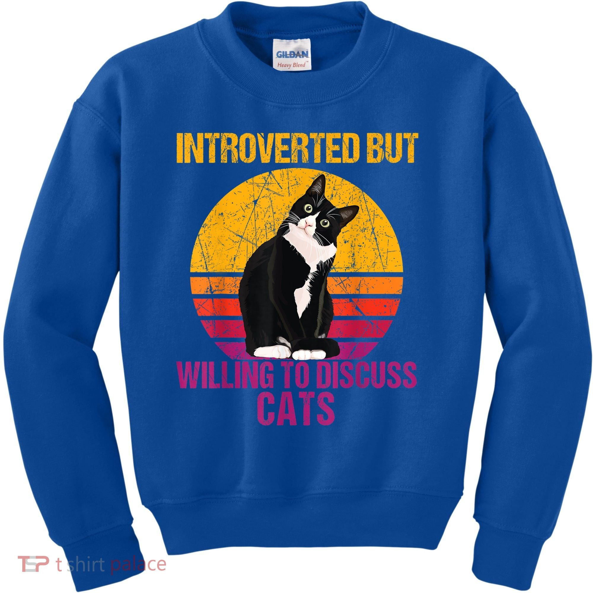 Introverted But Willing To Discuss Cats Kids Sweatshirt