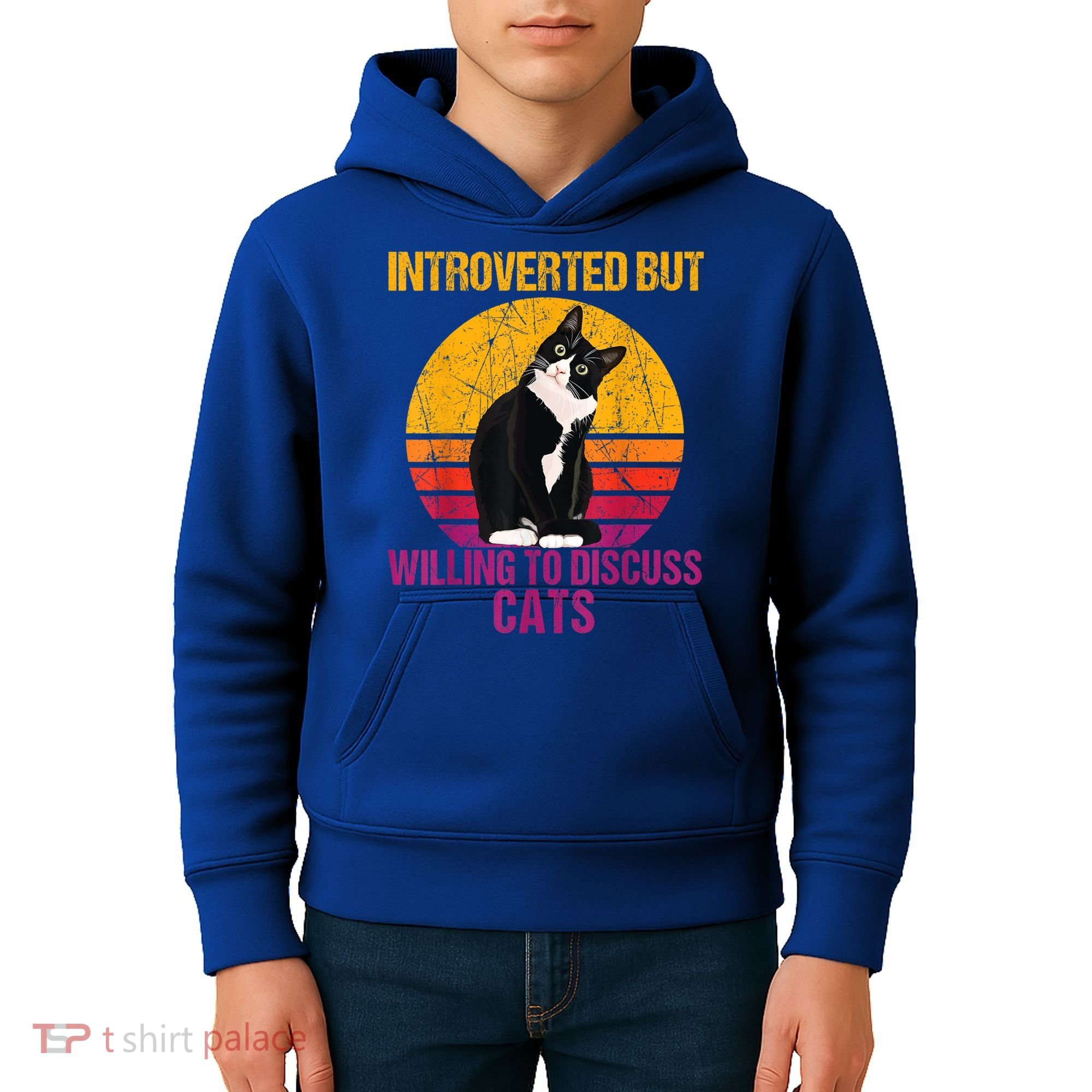 Introverted But Willing To Discuss Cats Kids Hoodie
