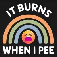 It Burns When I Pee Funny Sarcastic Ornament thumb 1