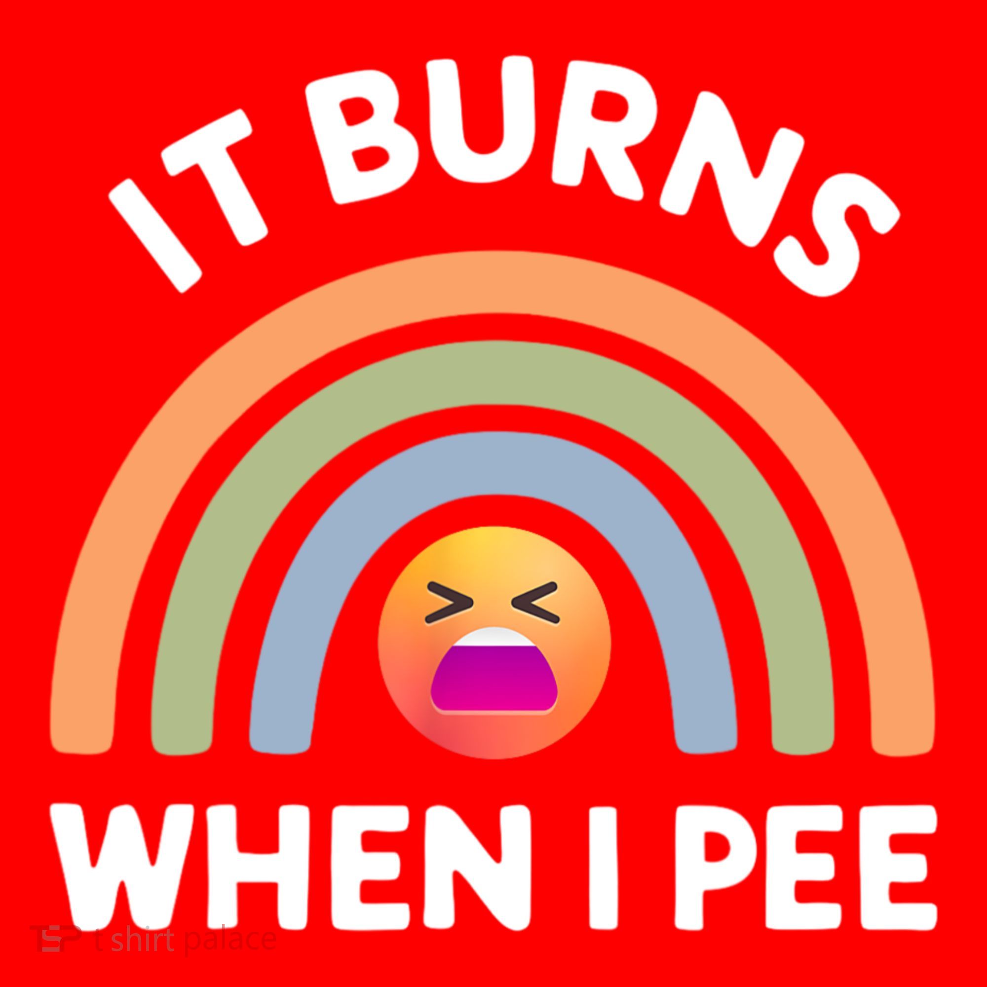 It Burns When I Pee Funny Sarcastic Santa Hat