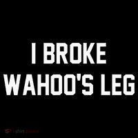 I Broke WahooS Leg Funny Ornament thumb 1