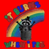 It Burns When I Pee Funny Racoon Meme Rainbow Saying Humor Santa Hat thumb 1