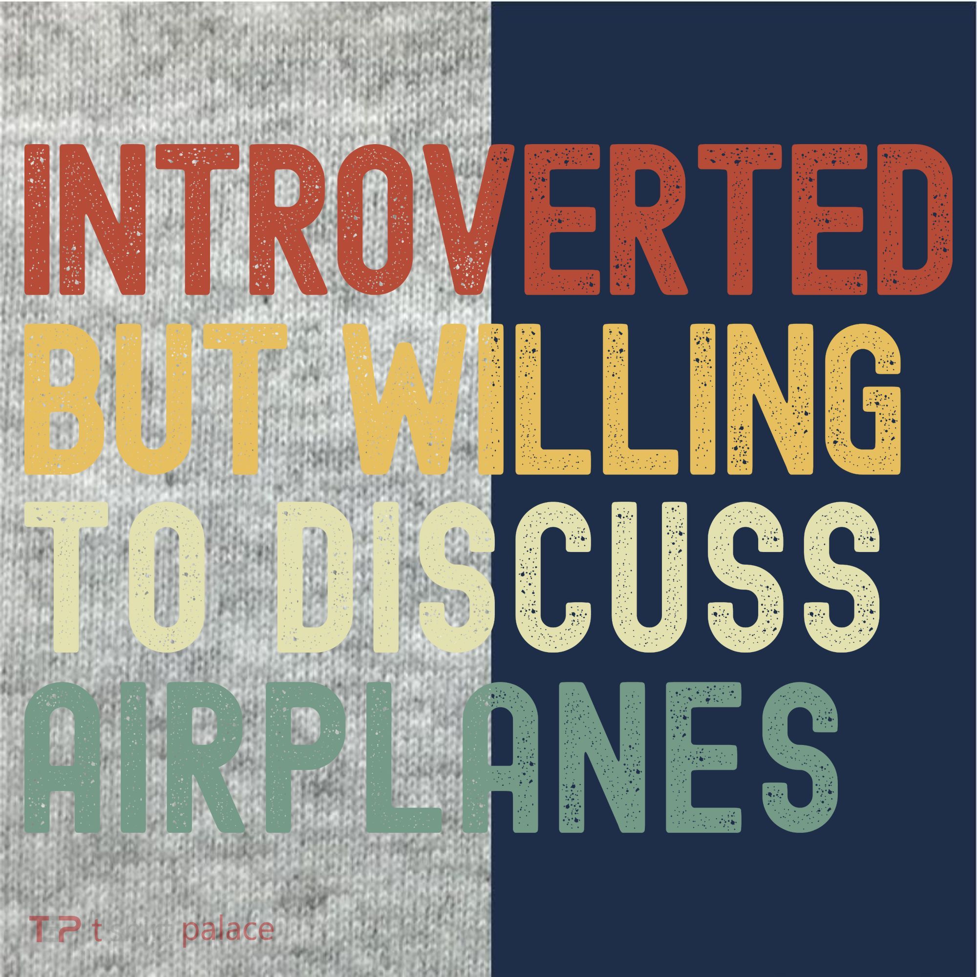 Introverted But Willing To Discuss Airplanes Funny Aviation Airplane Lover Kids Colorblock Raglan Jersey