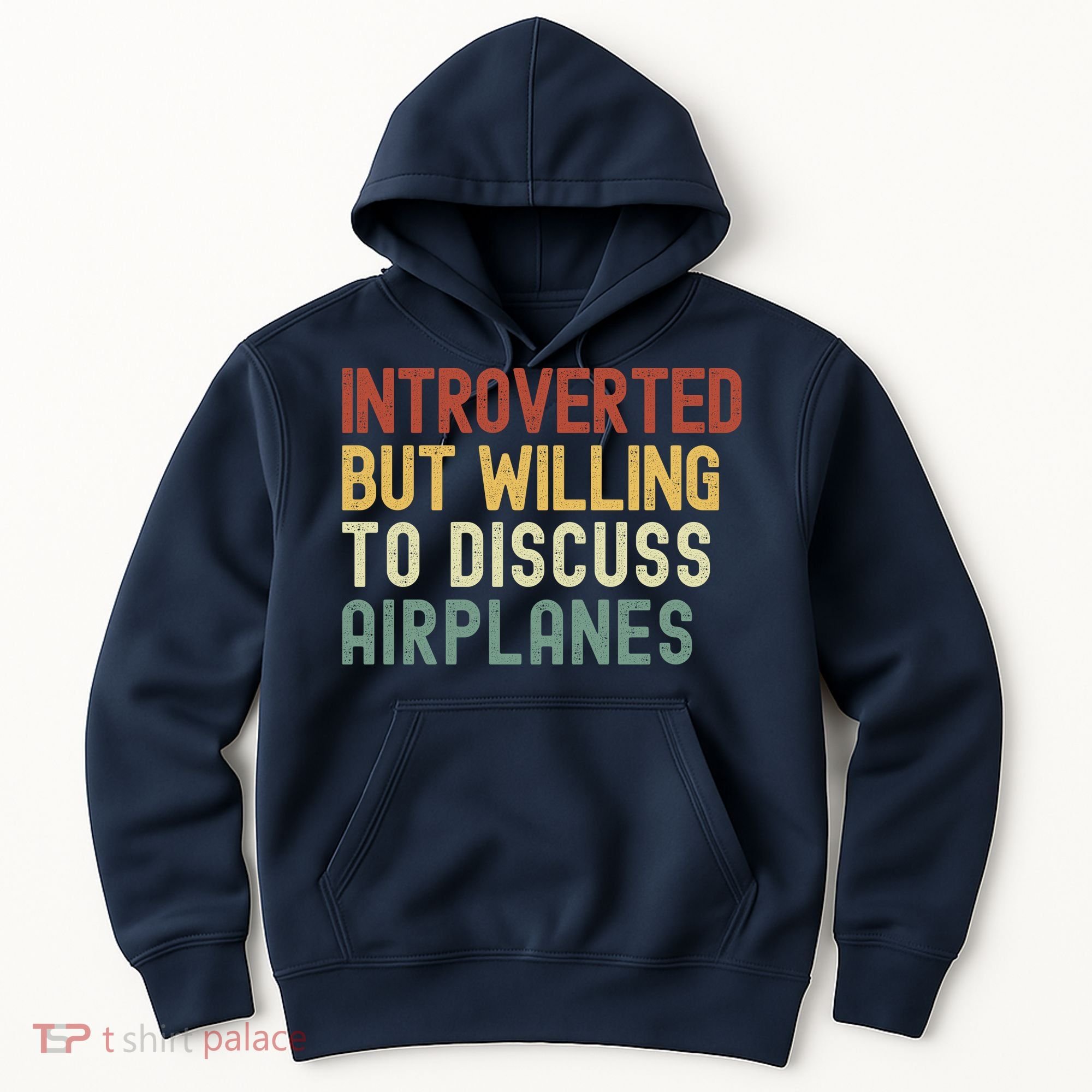 Introverted But Willing To Discuss Airplanes Funny Aviation Airplane Lover Hoodie