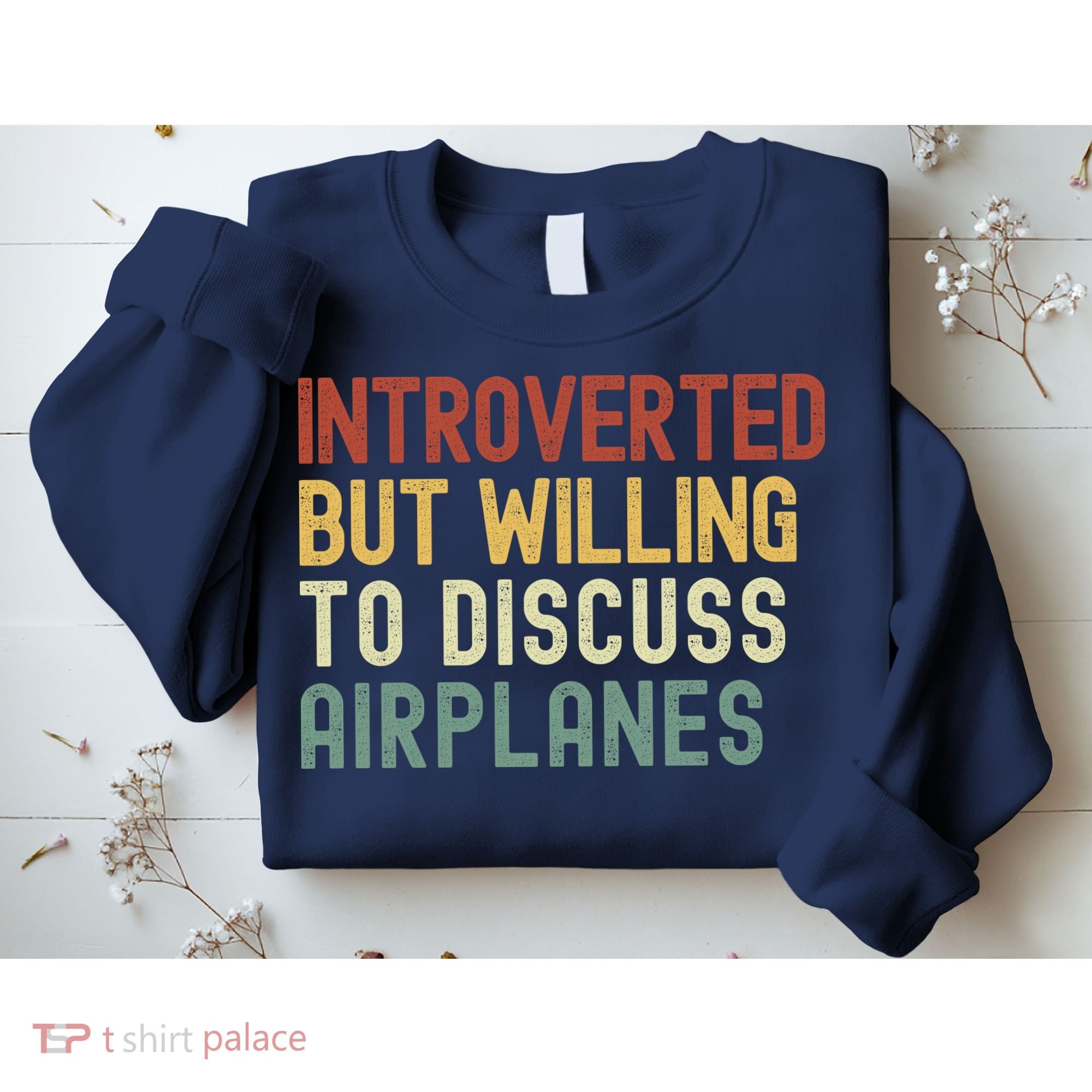 Introverted But Willing To Discuss Airplanes Funny Aviation Airplane Lover Sweatshirt