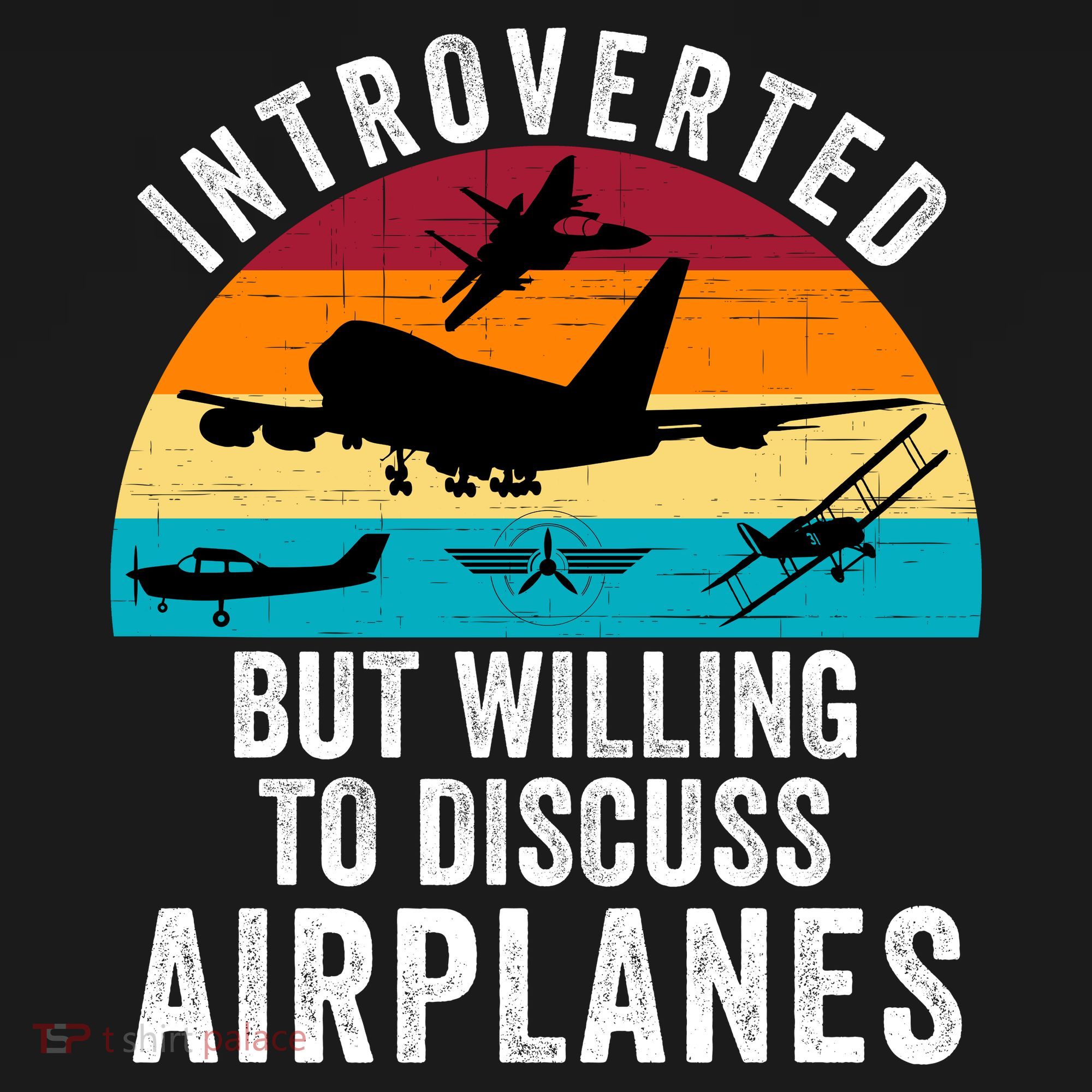 Introverted But Willing To Discuss Airplanes Funny Aviation Funny Pilot Women's Hoodie