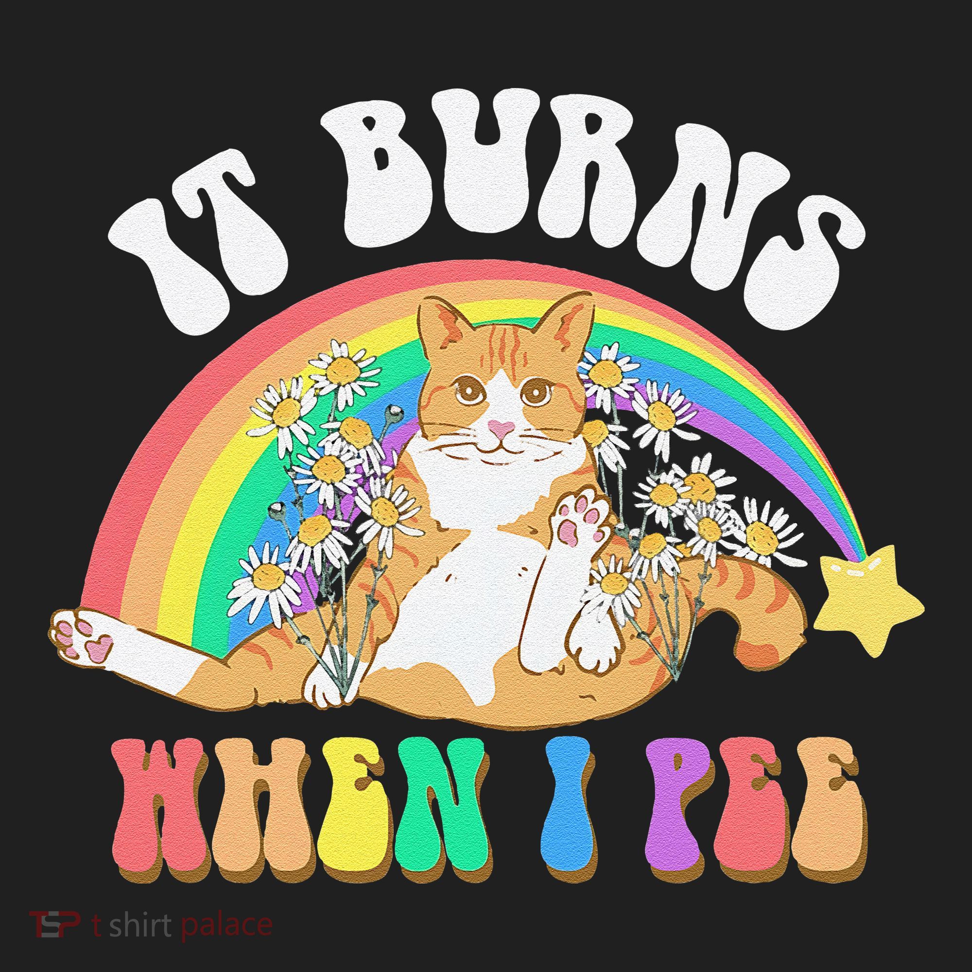 It Burns When I Pee Funny Cat Meme Rainbow Saying Sarcastic Women's Sweatshirt