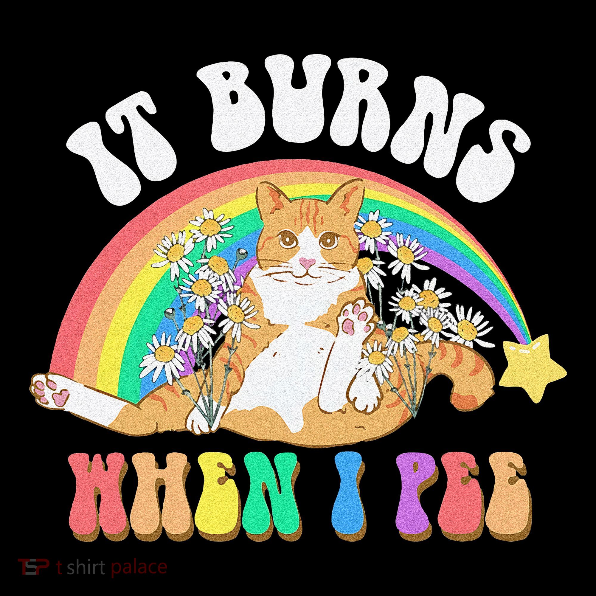 It Burns When I Pee Funny Cat Meme Rainbow Saying Sarcastic Bucket Hat