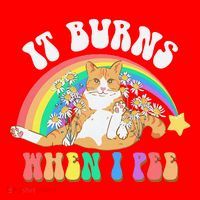 It Burns When I Pee Funny Cat Meme Rainbow Saying Sarcastic Santa Hat thumb 1
