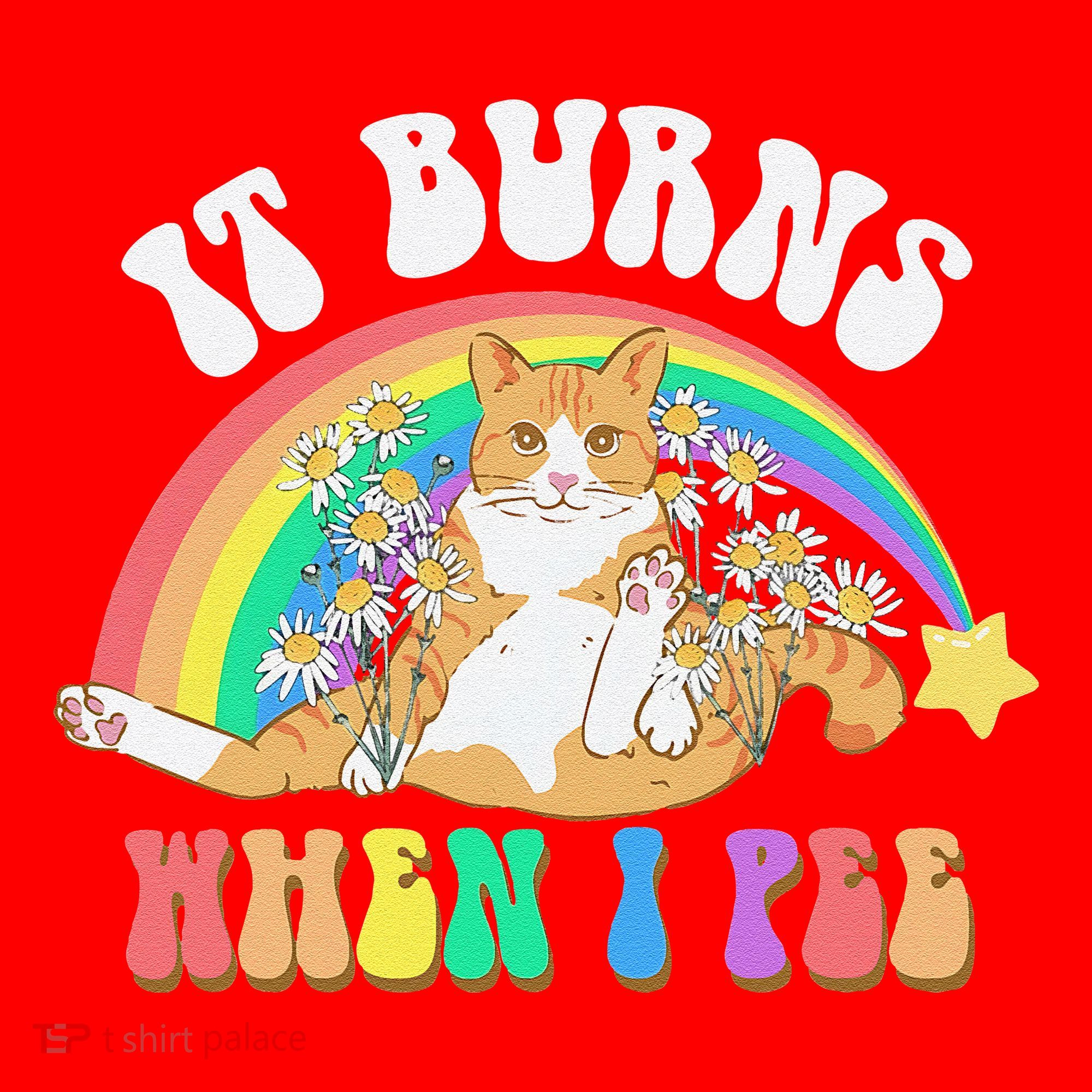 It Burns When I Pee Funny Cat Meme Rainbow Saying Sarcastic Santa Hat