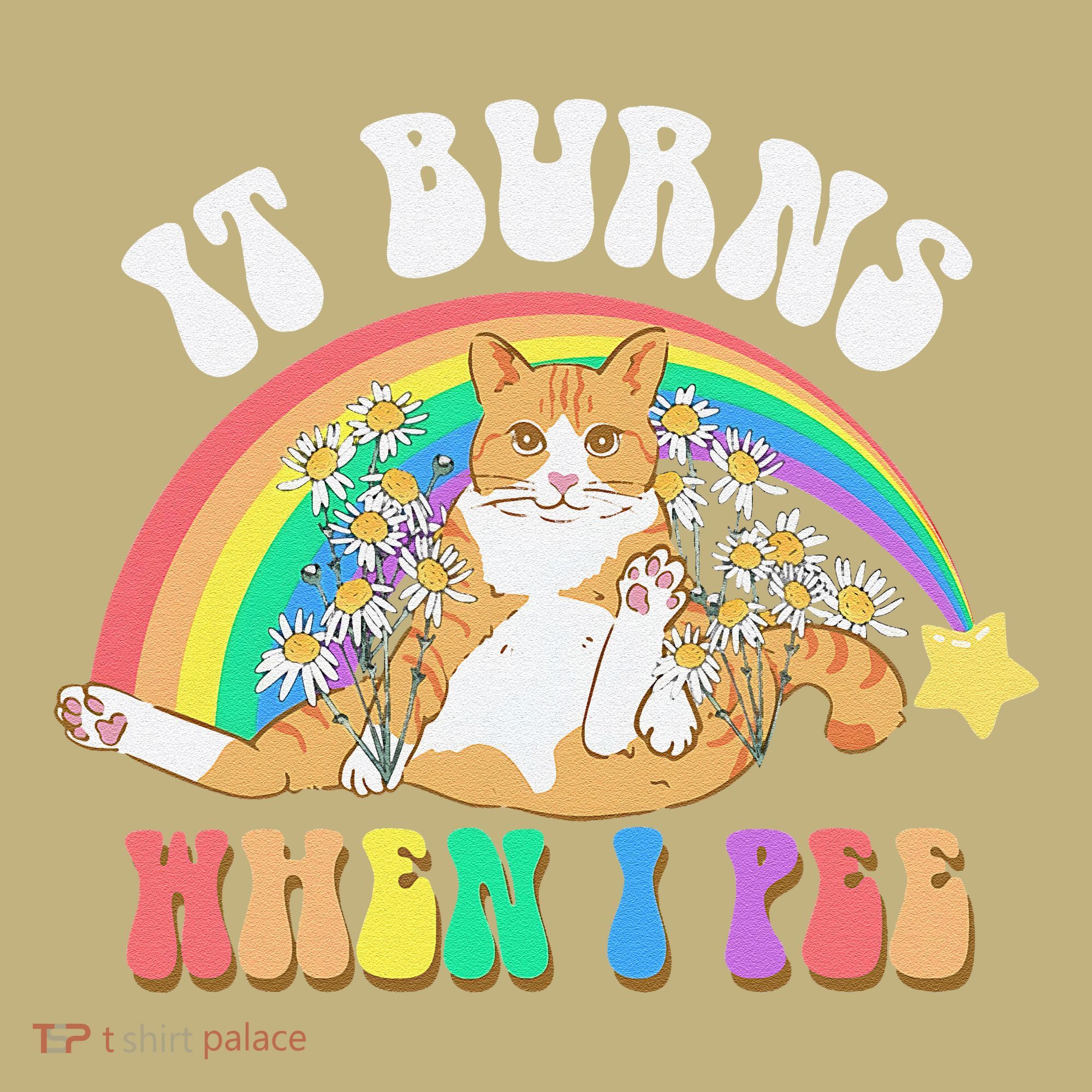 It Burns When I Pee Funny Cat Meme Rainbow Saying Sarcastic Button