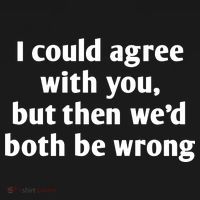 I Could Agree With You, Funny T Shirts Sayings, Funny T Shirts For Women T-Shirt thumb 7
