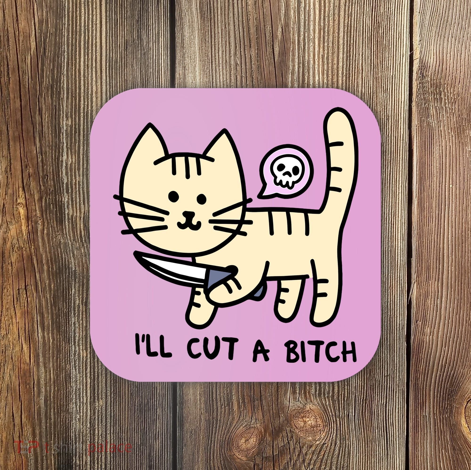 ILl Cut A Bitch Funny Cat Coaster