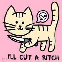 ILl Cut A Bitch Funny Cat Coaster thumb 2