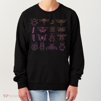 Insect Collector Bugs Entomology Bugs Beetle Biology Bug Women's Sweatshirt