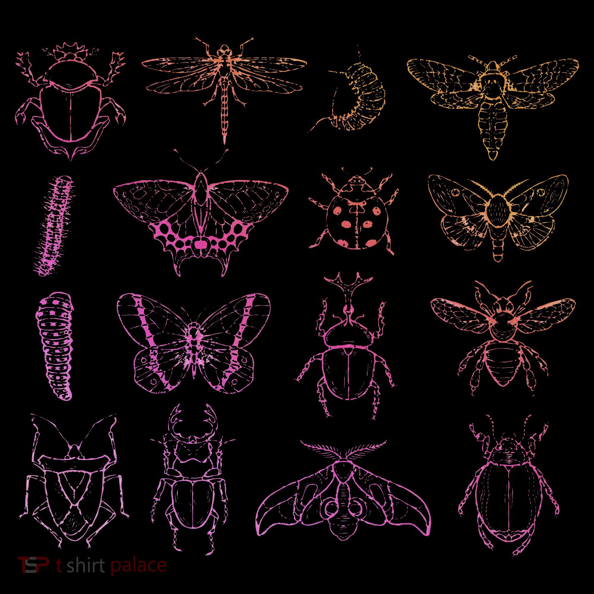 Insect Collector Bugs Entomology Bugs Beetle Biology Bug Hoodie