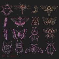 Insect Collector Bugs Entomology Bugs Beetle Biology Bug Tumbler thumb 3
