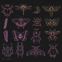 Insect Collector Bugs Entomology Bugs Beetle Biology Bug Women's Long Sleeve Shirt thumb 2