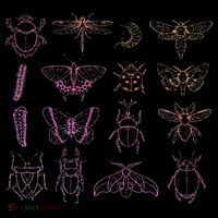 Insect Collector Bugs Entomology Bugs Beetle Biology Bug Women's T-Shirt thumb 6