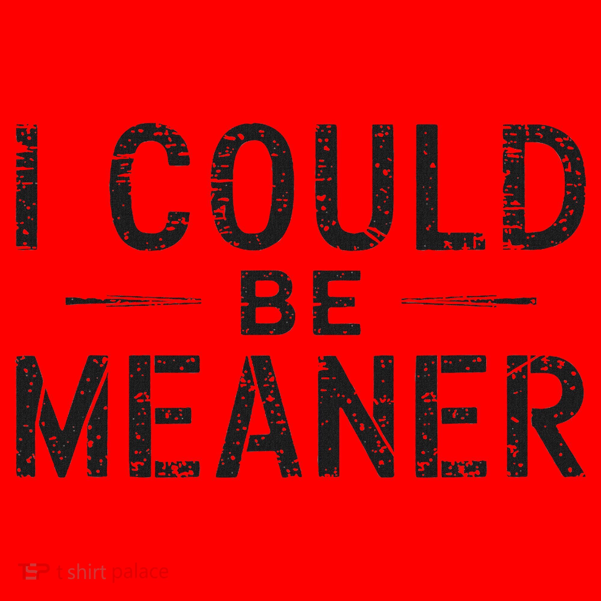 I Could Be Meaner Santa Hat