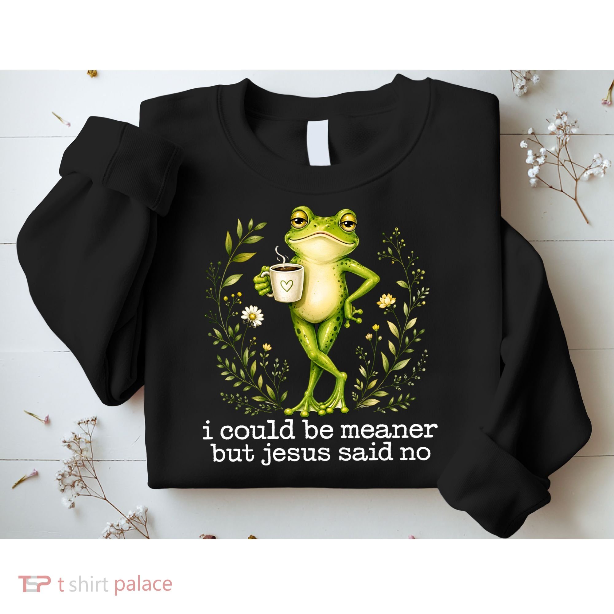 I Could Be Meaner But Jesus Said No Funny Christian Frog Sweatshirt