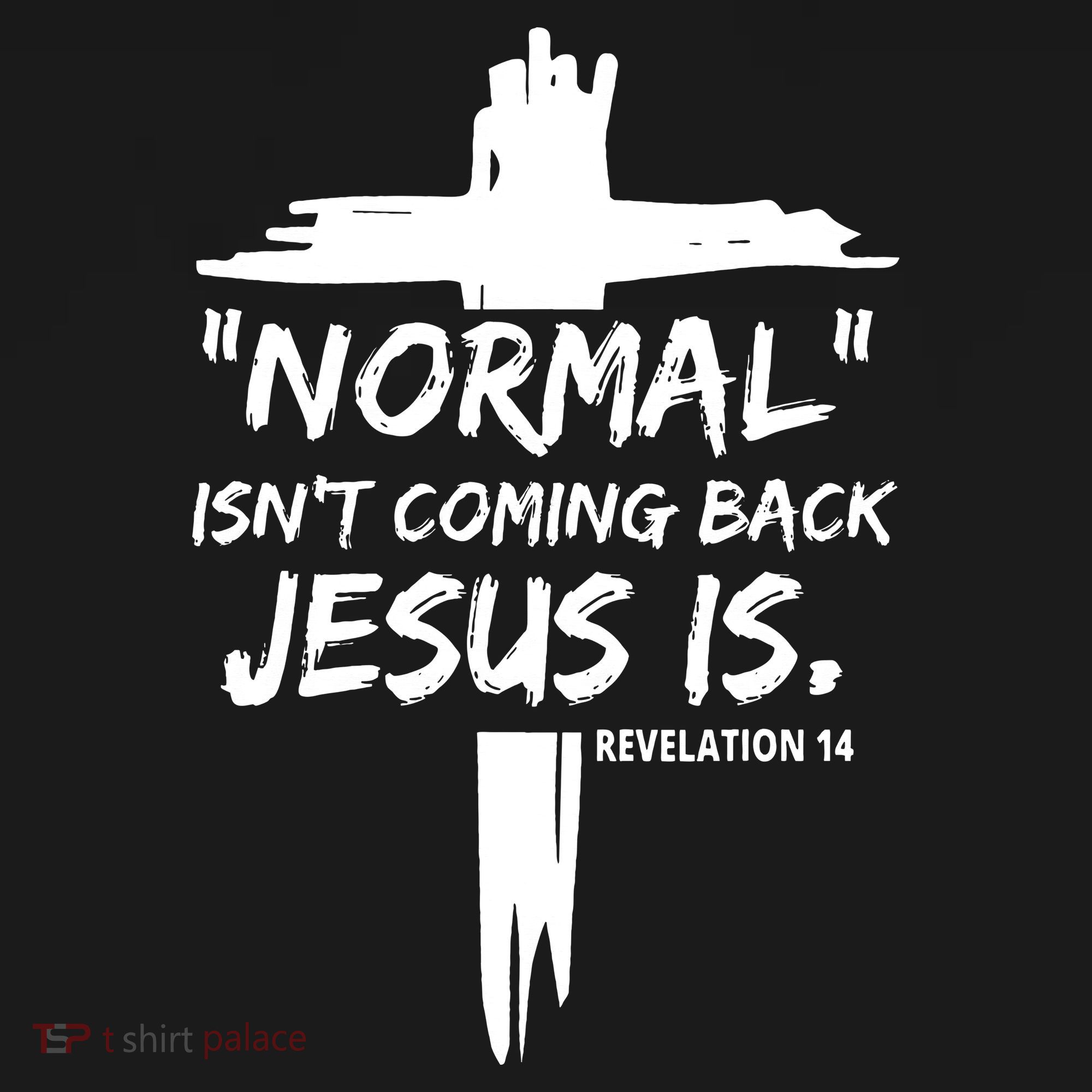 Isnt Coming Back Jesus Is Christian Normal Hoodie