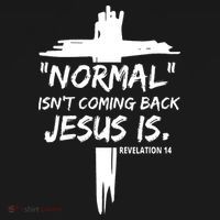 Isnt Coming Back Jesus Is Christian Normal Long Sleeve Shirt thumb 2