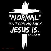 Isnt Coming Back Jesus Is Christian Normal T-Shirt thumb 7