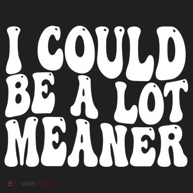 I Could Be Meaner Funny Meme Trends  Urban Oversized Heavyweight T-Shirt