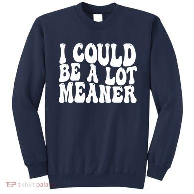 I Could Be Meaner Funny Meme Trends  Sweatshirt