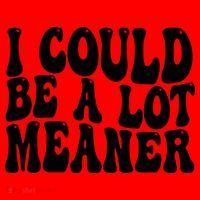 I Could Be Meaner Funny Meme Trends  Santa Hat thumb 1