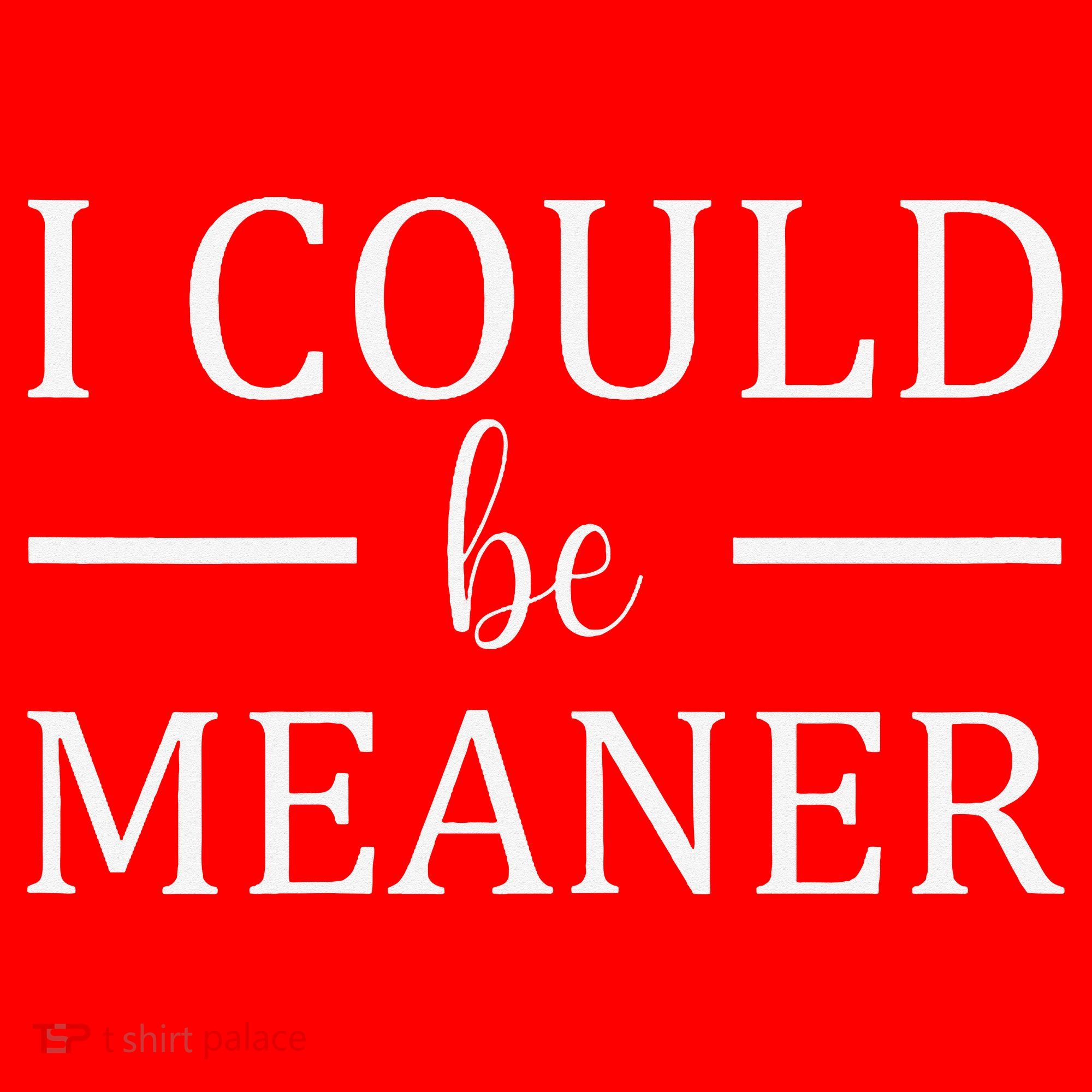 I Could Be Meaner Women Gift Santa Hat